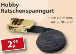 Sonderpreis Baumarkt Hobby- Ratschenspanngurt Angebot