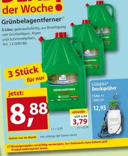 Sonderpreis Baumarkt Grünbelagentferner Angebot