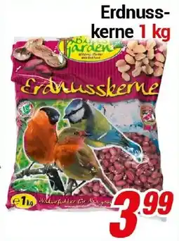 CENTERSHOP Erdnusskerne Angebot