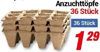 CENTERSHOP Anzuchttöpfe Angebot