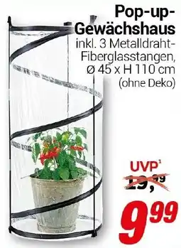 CENTERSHOP Pop-up Gewächshaus Angebot