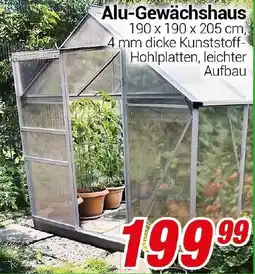 CENTERSHOP Alu-Gewächshaus Angebot