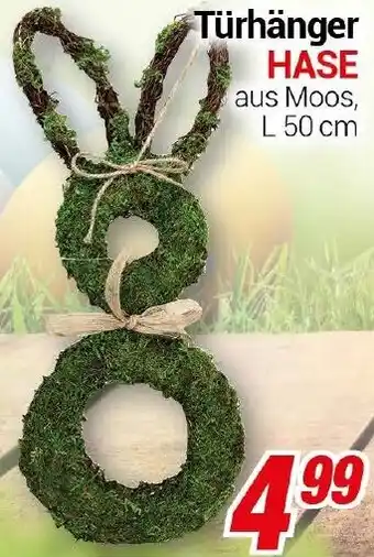 CENTERSHOP Türhänger HASE Angebot