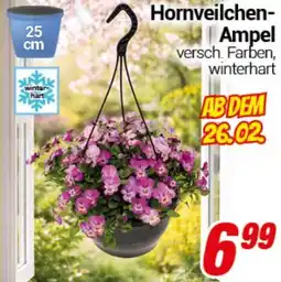CENTERSHOP Hornveilchen Ampel Angebot