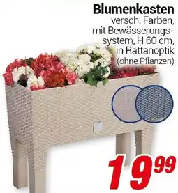CENTERSHOP Blumenkasten Angebot