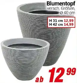 CENTERSHOP Blumentopf Angebot