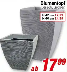CENTERSHOP Blumentopf Angebot