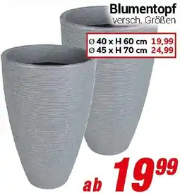CENTERSHOP Blumentopf Angebot