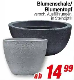 CENTERSHOP Blumenschale/ Blumentopf Angebot