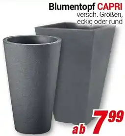 CENTERSHOP Blumentopf CAPRI Angebot
