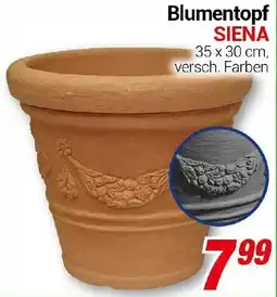 CENTERSHOP Blumentopf SIENA Angebot