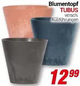 CENTERSHOP Blumentopf TUBUS Angebot