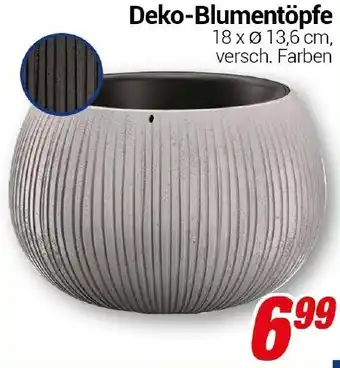 CENTERSHOP Deko-Blumentöpfe Angebot
