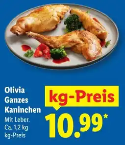 Lidl Olivia Ganzes Kaninchen Angebot