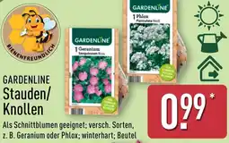 Aldi Nord GARDENLINE Stauden/ Knollen Angebot