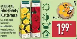 Aldi Nord GARDENLINE Edel/Beet/ Kletterrose Angebot