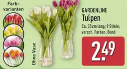 Aldi Nord GARDENLINE Tulpen Angebot