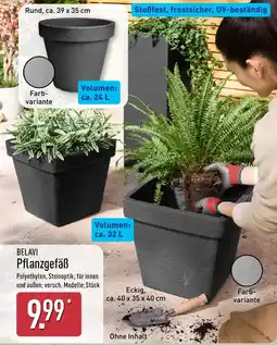 Aldi Nord BELAVI Pflanzgefäß Angebot