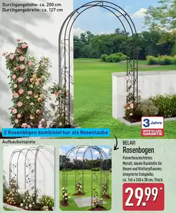 Aldi Nord BELAVI Rosenbogen Angebot