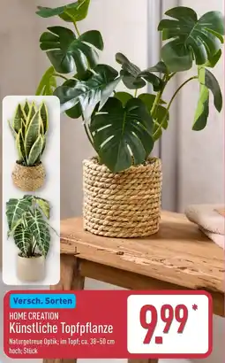 Aldi Nord HOME CREATION Künstliche Topfpflanze Angebot