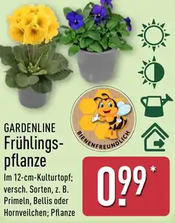 Aldi Nord GARDENLINE Frühlingspflanze Angebot