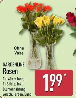 Aldi Nord GARDENLINE Rosen Angebot
