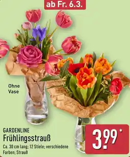 Aldi Nord GARDENLINE Frühlingsstrauß Angebot