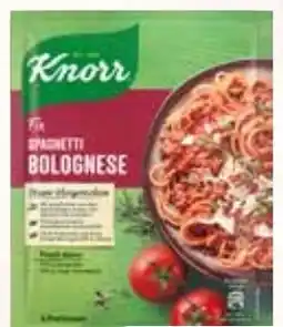 HIT Knorr Fix Angebot