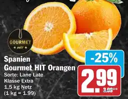 HIT Spanien Gourmet HIT Orangen Angebot