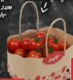 HIT Tunesien/ Niederlande Cherrystrauch tomaten Angebot