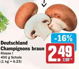 HIT Deutschland Champignons braun Angebot