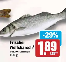 HIT Frischer Wolfsbarsch Angebot