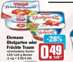 HIT Ehrmann Obstgarten oder Früchte Traum Angebot