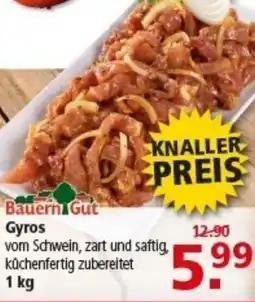 Multi Markt Bauern Gut Gyros Angebot