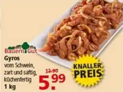 Multi Markt Bauern Gut Gyros Angebot