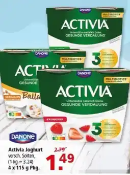 Multi Markt DANONE Activia Joghurt Angebot
