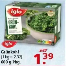 Multi Markt iglo Grünkohl Angebot