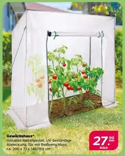 NETTO Gewächshaus Angebot