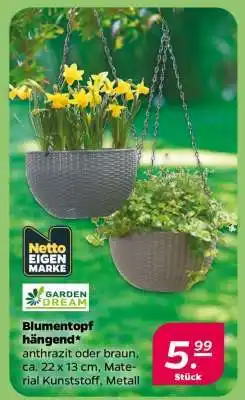 NETTO Blumentopf hängend Angebot