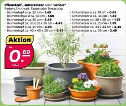 NETTO Pflanztopf, -untersetzer oder -schale Angebot