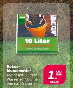 NETTO Kokosblumenerde Angebot