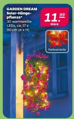 NETTO GARDEN DREAM Solar-Hängepflanze Angebot