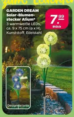 NETTO GARDEN DREAM Solar-Blumenstecker Alium Angebot