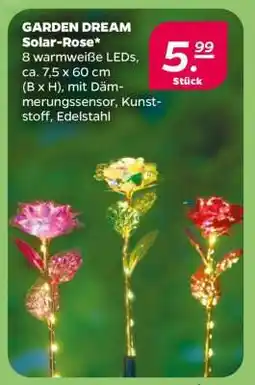 NETTO GARDEN DREAM Solar-Rose Angebot