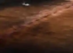 Möbel Inhofer Heitmann-Felle Fellteppich Angebot