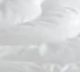 Möbel Inhofer Irisette Monobettdecke Angebot