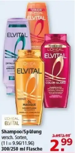 Multi Markt OREAL ELVITAL Shampoo/Spülung Angebot