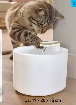 Aldi Nord Katzen Trinkbrunnen Angebot