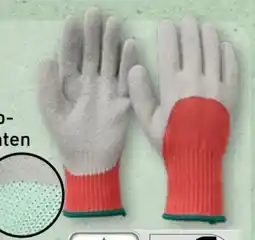 Aldi Nord Gardenline Garten-Handschuhe Angebot