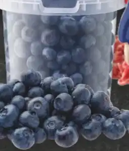 E-Center Edeka Herzstücke Kulturheidelbeeren Angebot